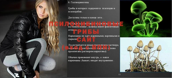 героин Алзамай