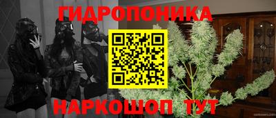 бошки Новозыбков