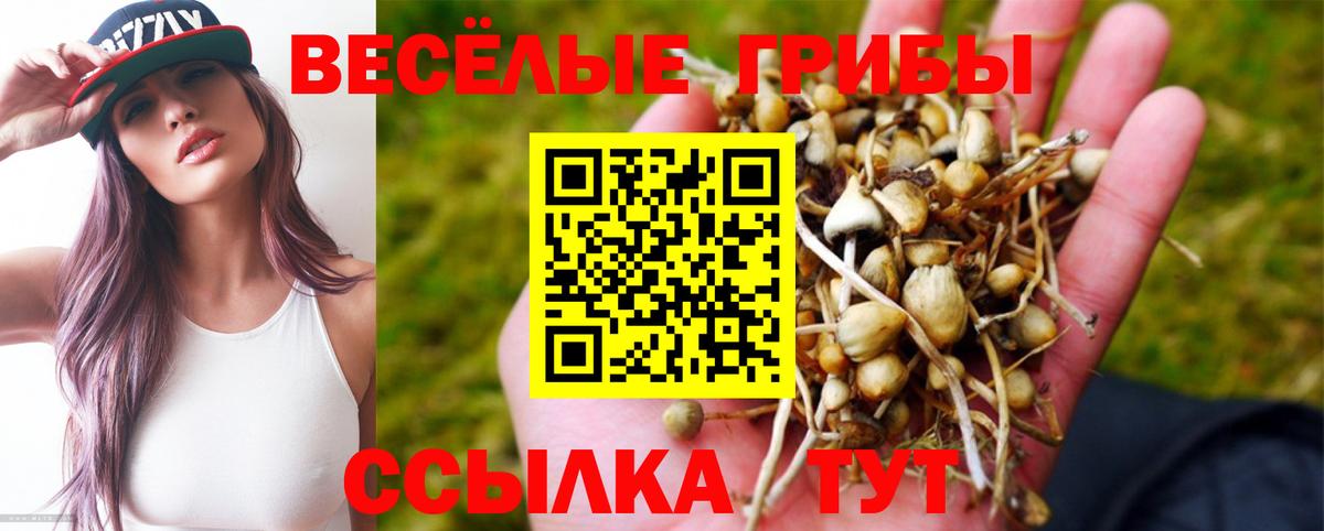 Галлюциногенные грибы мухоморы  Вход с VPN  Чусовой 