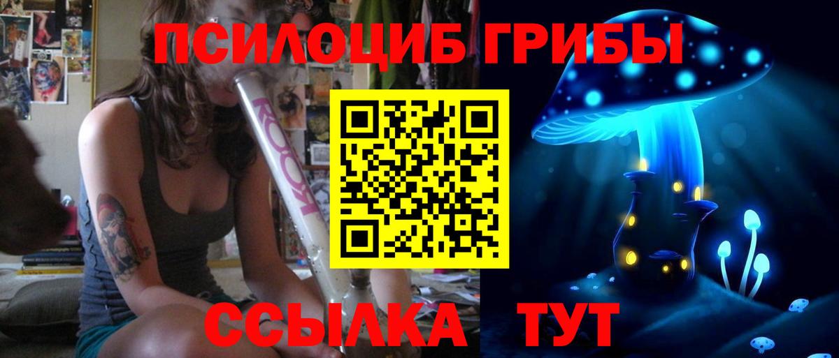 Псилоцибиновые грибы Psilocybe Чусовой